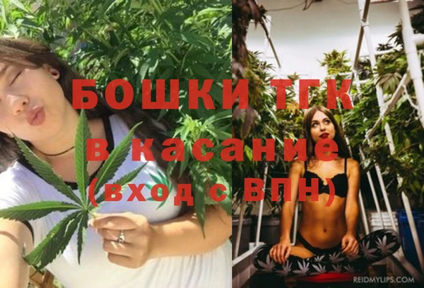 PSILOCYBIN Абинск