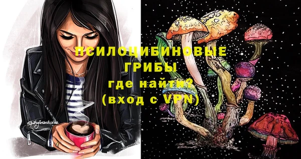 PSILOCYBIN Абинск